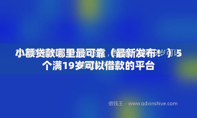 小额贷款哪里最可靠(最新发布!)5个满19岁可以借款的平台 小额贷款哪里最可靠(最新发布!)5个满19岁可以借款的平台