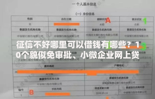 征信不好哪里可以借钱有哪些?10个貌似免审批、小微企业网上贷款平台合集 征信不好哪里可以借钱有哪些?10个貌似免审批、小微企业网上贷款平台合集