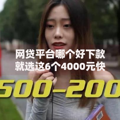 网贷平台哪个好下款就选这6个4000元快速小额贷款平台 网贷平台哪个好下款就选这6个4000元快速小额贷款平台