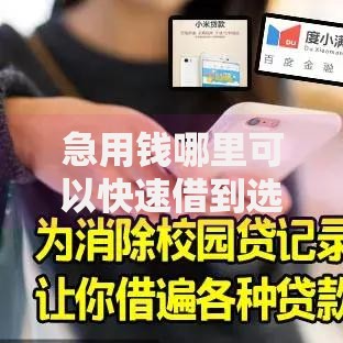 急用钱哪里可以快速借到选哪个平台?6个最容易下款的贷款平台推荐 急用钱哪里可以快速借到选哪个平台?6个最容易下款的贷款平台推荐