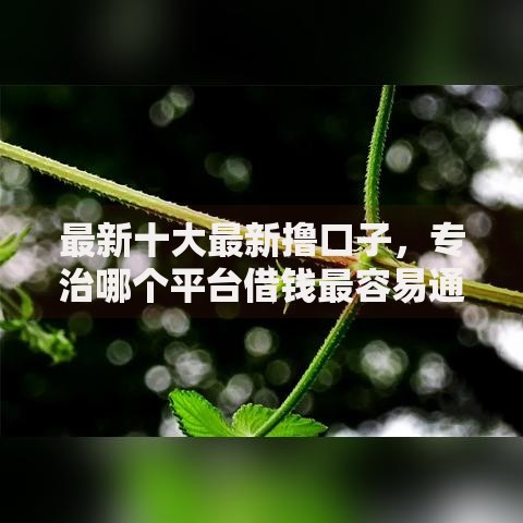 最新十大最新撸口子,专治哪个平台借钱最容易通过 最新十大最新撸口子,专治哪个平台借钱最容易通过