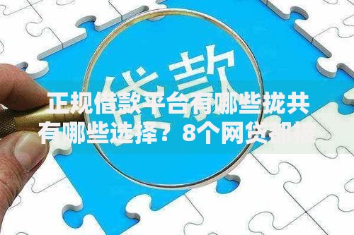 正规借款平台有哪些拢共有哪些选择？8个网贷都被拒绝了还有什么口子详解