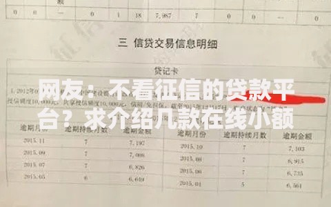 网友：不看征信的贷款平台？求介绍几款在线小额贷款平台