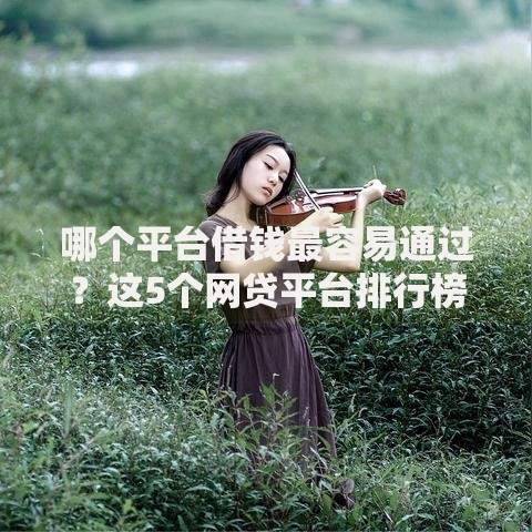 哪个平台借钱最容易通过?这5个网贷平台排行榜可以试试 哪个平台借钱最容易通过?这5个网贷平台排行榜可以试试