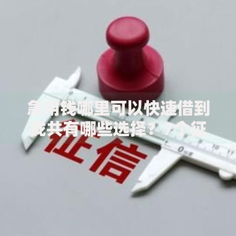 急用钱哪里可以快速借到拢共有哪些选择?7个征信不好借钱的平台详解 急用钱哪里可以快速借到拢共有哪些选择?7个征信不好借钱的平台详解