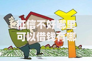 征信不好哪里可以借钱有哪些?分享10个黑户借钱的平台100%能借 征信不好哪里可以借钱有哪些?分享10个黑户借钱的平台100%能借