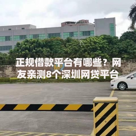 正规借款平台有哪些?网友亲测8个深圳网贷平台盘点 正规借款平台有哪些?网友亲测8个深圳网贷平台盘点