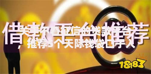 关于不看征信的贷款平台，推荐5个天际钱袋口子入口给你
