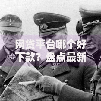 网贷平台哪个好下款？盘点最新6个夜间秒下款的高炮口子