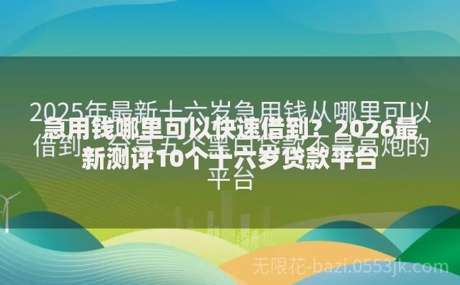 急用钱哪里可以快速借到？2026最新测评10个十六岁贷款平台