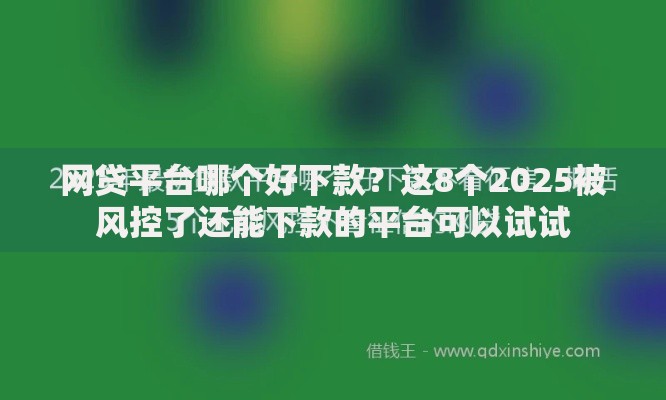 网贷平台哪个好下款？这8个2025被风控了还能下款的平台可以试试