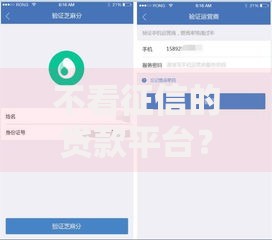 不看征信的贷款平台？5个平台试试看哪个能下款