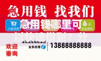 急用钱哪里可以快速借到？分享8个类似高炮口子的平台