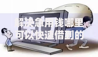 解决急用钱哪里可以快速借到的6个网贷平台倒闭分享