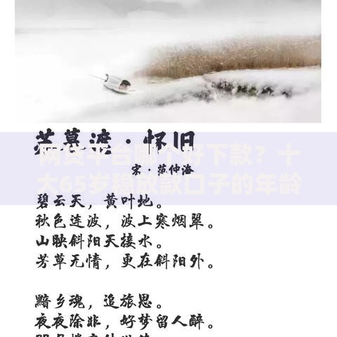 网贷平台哪个好下款？十大65岁稳放款口子的年龄要求推荐