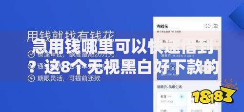 急用钱哪里可以快速借到？这8个无视黑白好下款的口子可以试试