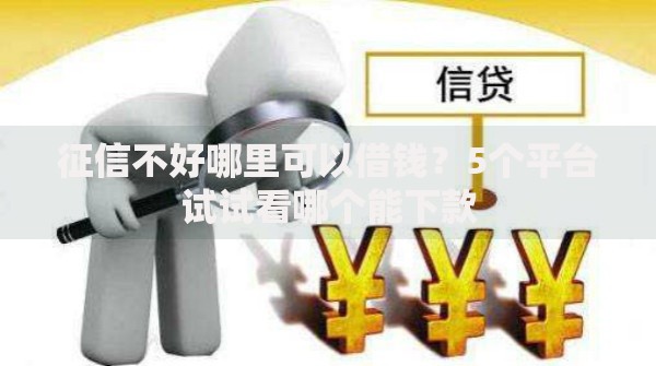 征信不好哪里可以借钱？5个平台试试看哪个能下款