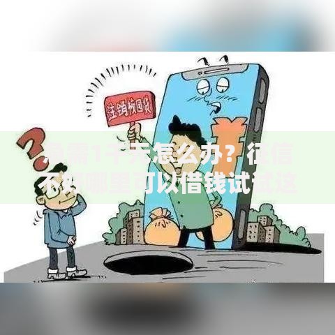 急需1千元怎么办?征信不好哪里可以借钱试试这6个无门槛平台 急需1千元怎么办?征信不好哪里可以借钱试试这6个无门槛平台