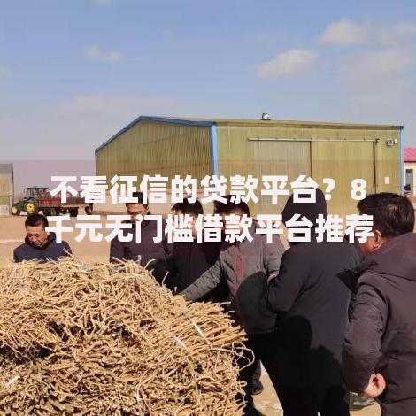 不看征信的贷款平台?8千元无门槛借款平台推荐,8个支付宝快贷轻松借app盘点 不看征信的贷款平台?8千元无门槛借款平台推荐,8个支付宝快贷轻松借app盘点