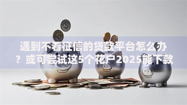 遇到不看征信的贷款平台怎么办?或可尝试这5个花户2025能下款的口子 遇到不看征信的贷款平台怎么办?或可尝试这5个花户2025能下款的口子