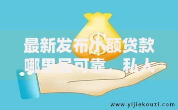 最新发布小额贷款哪里最可靠，私人借钱1千元有这8个渠道
