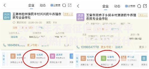 2026年不看征信的贷款平台,超热门的10个现在什么网贷平台最容易通过推荐 2026年不看征信的贷款平台,超热门的10个现在什么网贷平台最容易通过推荐